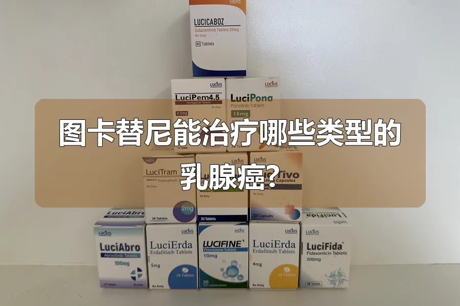 图卡替尼能治疗哪些类型的乳腺癌?